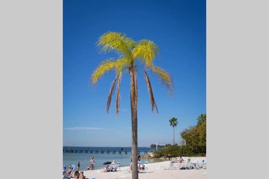 רסקין River Delight,Studio109, Beach & Pool Steps Away + Wifi מראה חיצוני תמונה